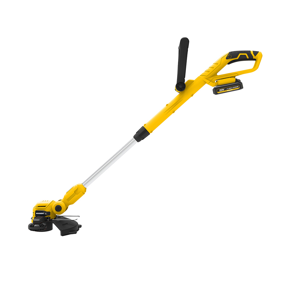 BLGT260